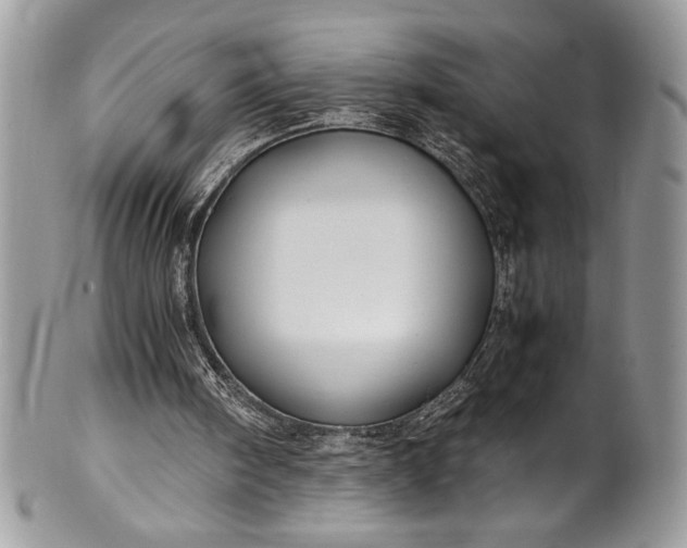 X0000100860098200807070943