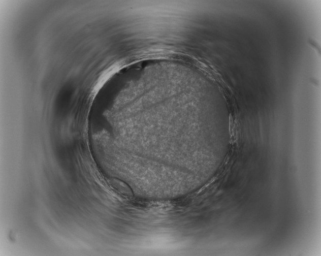 X0000100860099200807070943