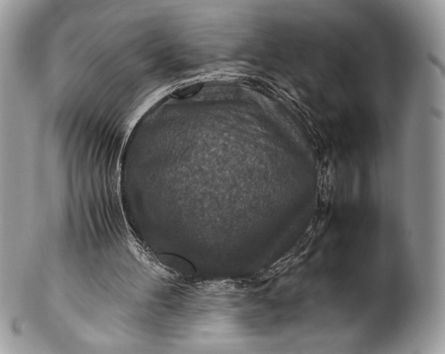 X0000100860100200807070943