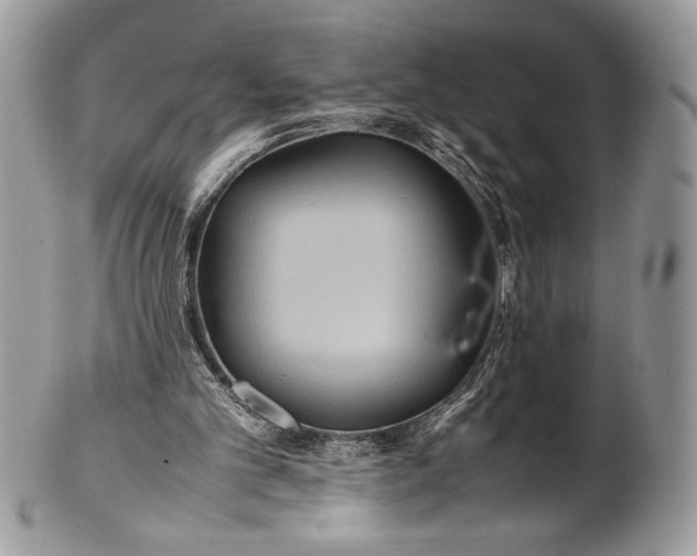 X0000100860101200807070943