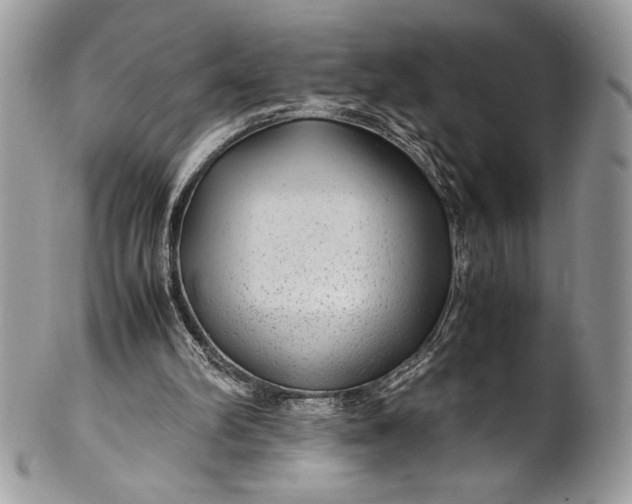 X0000100860102200807070943