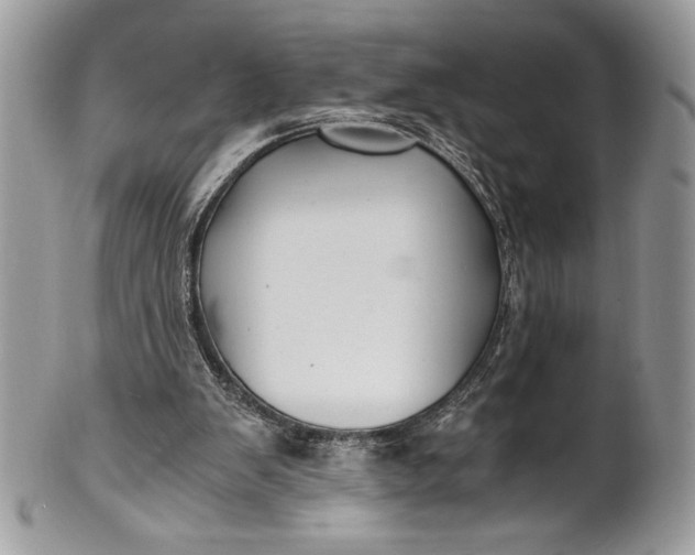 X0000100860103200807070943