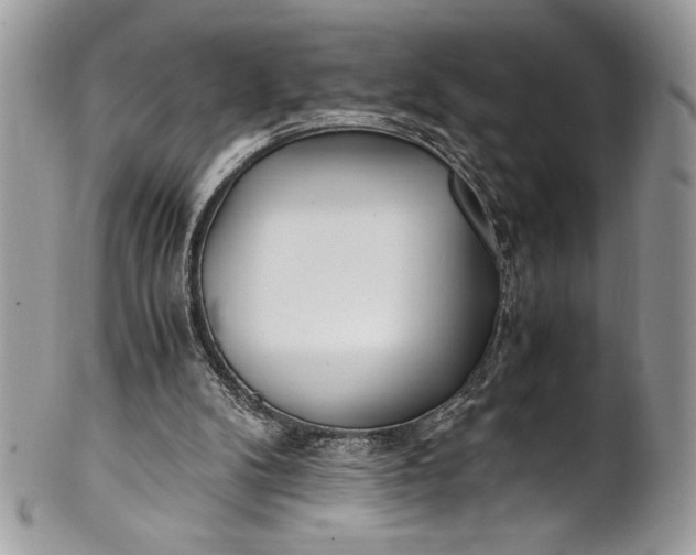 X0000100860104200807070943