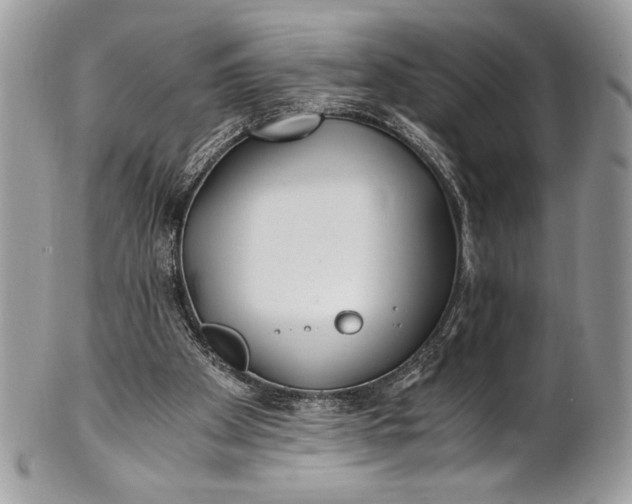 X0000100860105200807070943