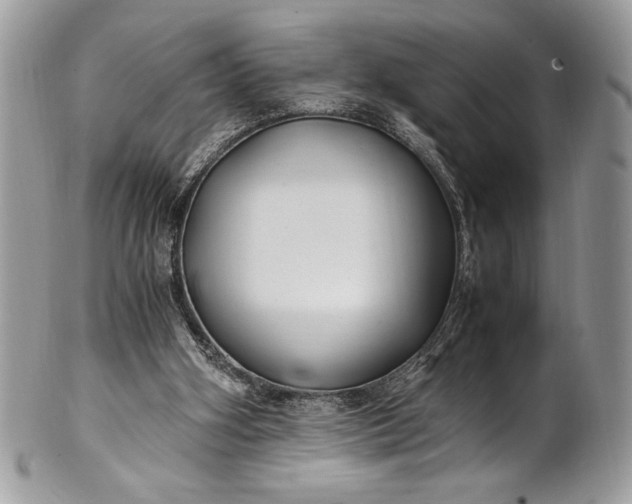 X0000100860106200807070943