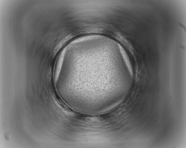 X0000100860107200807070943