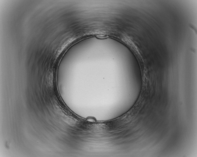 X0000100860108200807070943