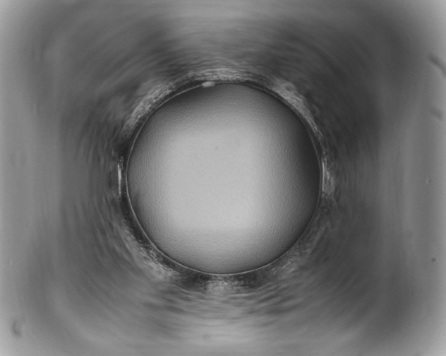 X0000100860109200807070943