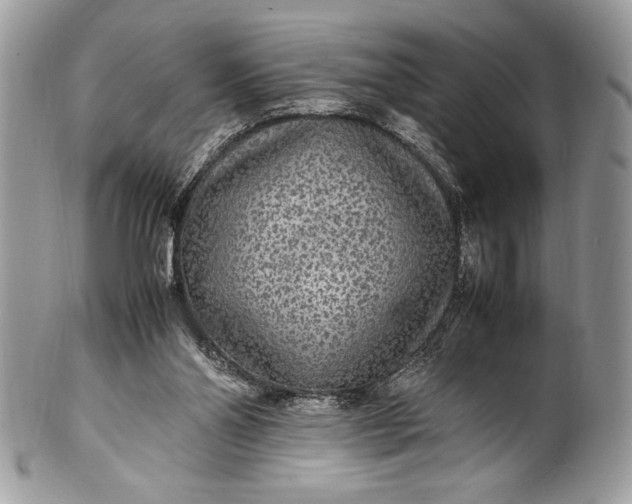 X0000100860110200807070943