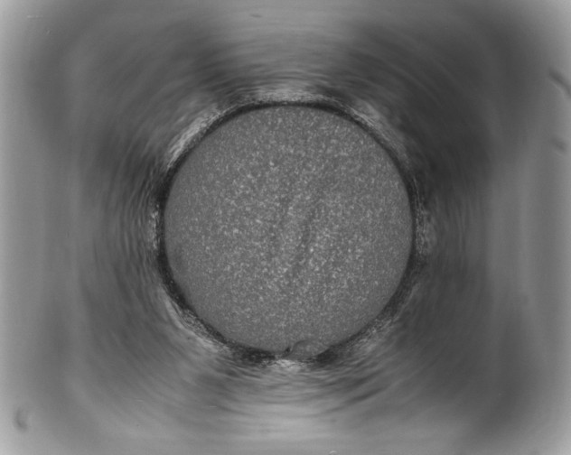 X0000100860111200807070943