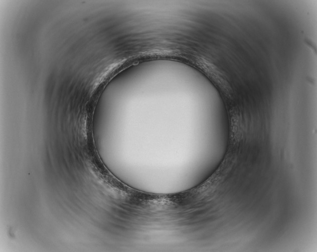 X0000100860112200807070943