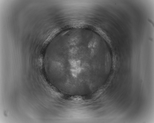 X0000100860113200807070943