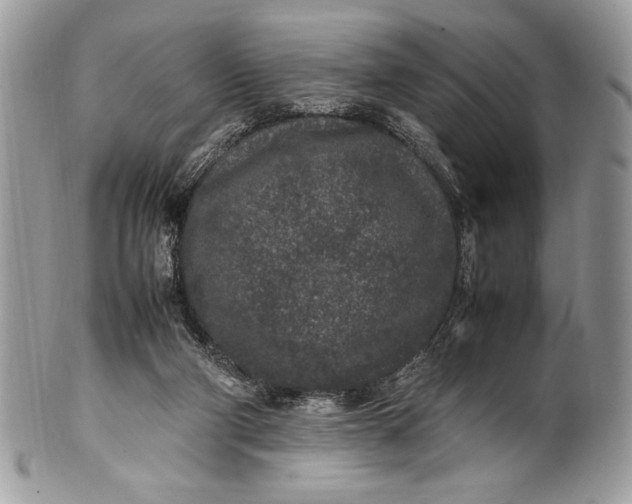 X0000100860114200807070943