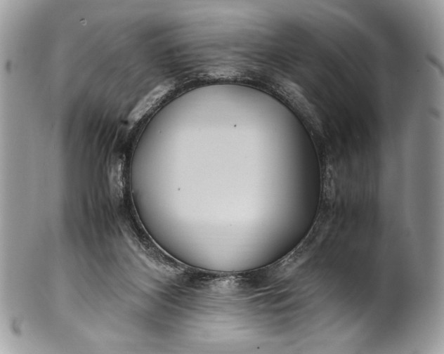 X0000100860116200807070943