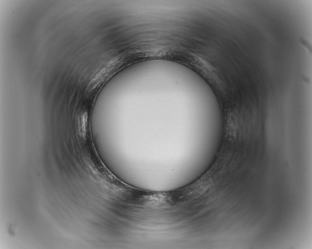 X0000100860118200807070943