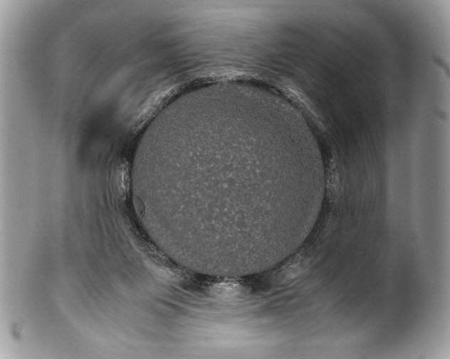 X0000100860119200807070943