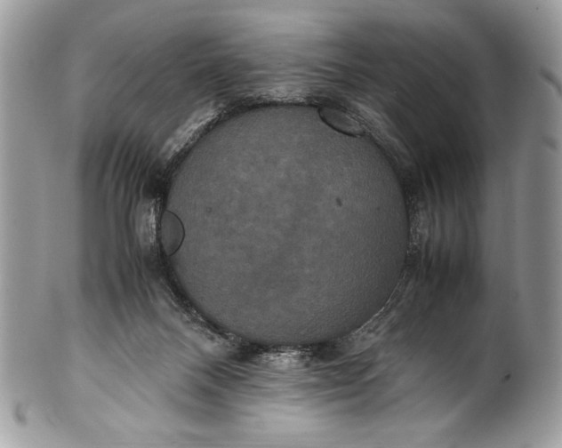 X0000100860120200807070943