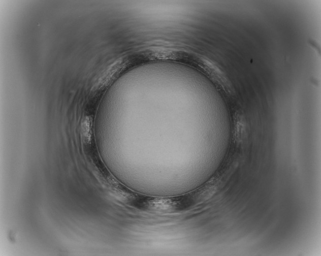 X0000100860121200807070943