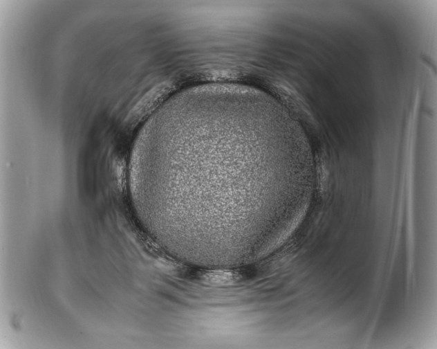 X0000100860123200807070943