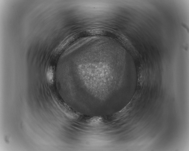 X0000100860124200807070943