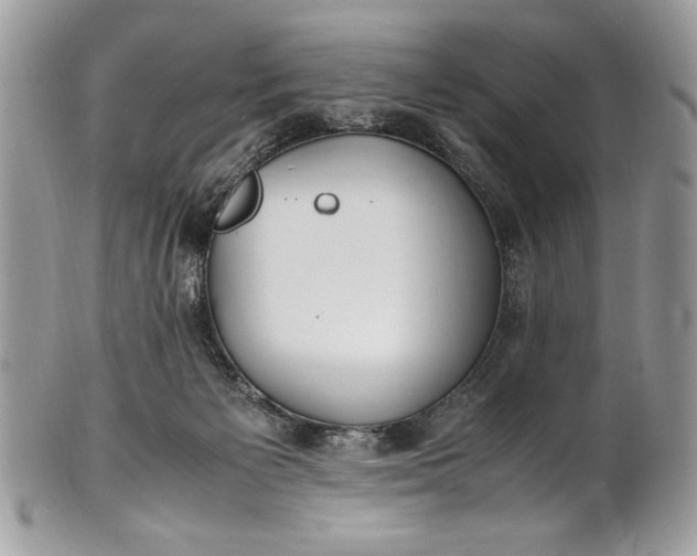 X0000100860125200807070943