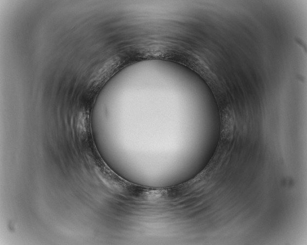 X0000100860126200807070943