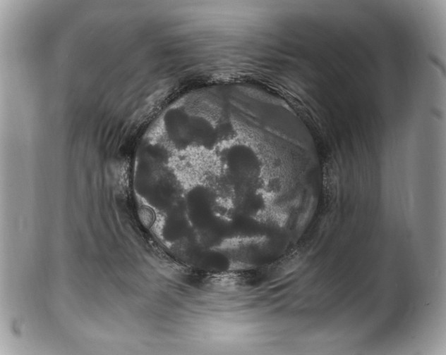 X0000100860127200807070943