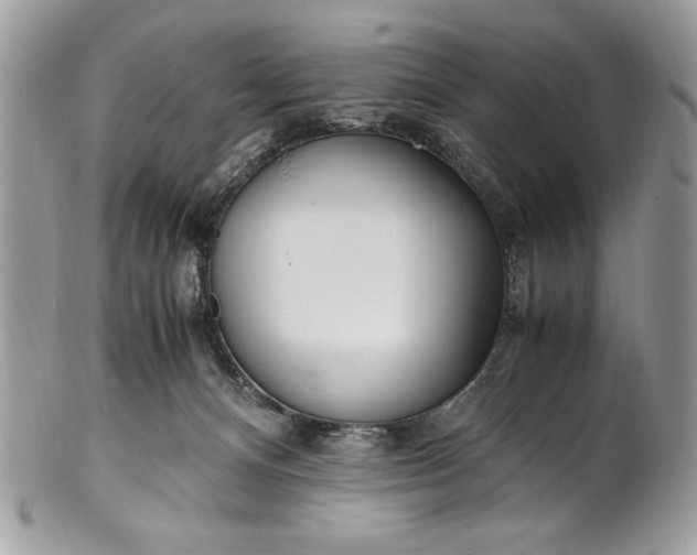 X0000100860128200807070943