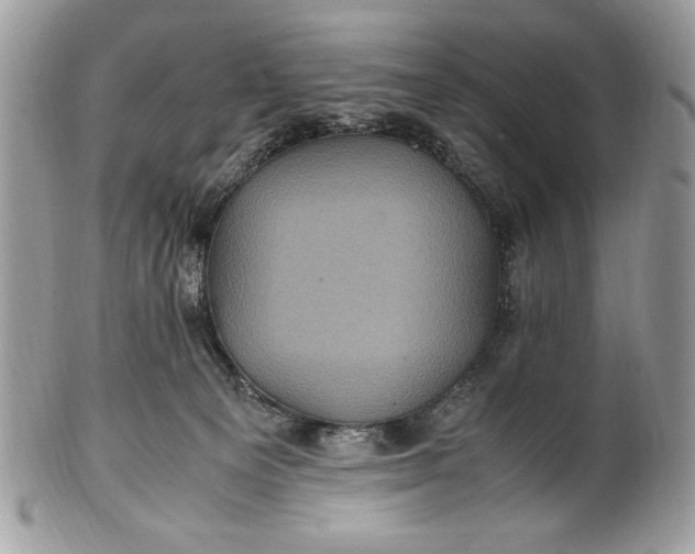 X0000100860129200807070943