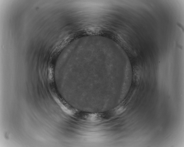 X0000100860130200807070943