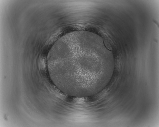 X0000100860131200807070943