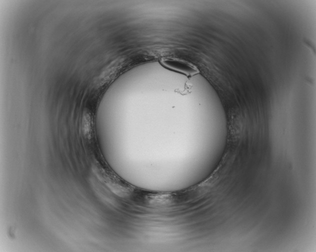 X0000100860132200807070943