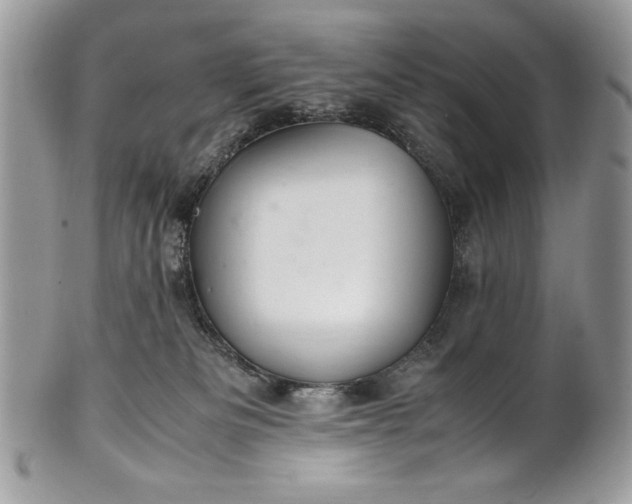 X0000100860133200807070943