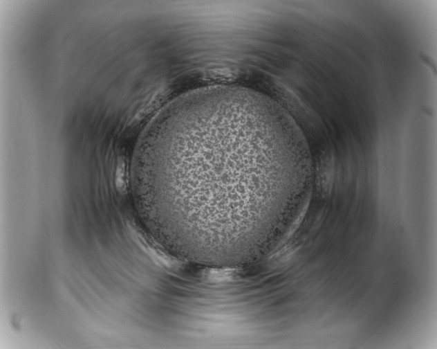 X0000100860134200807070943