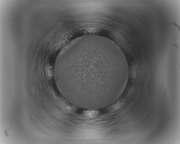 X0000100860135200807070943