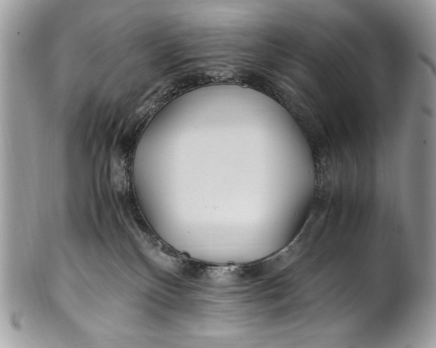 X0000100860136200807070943