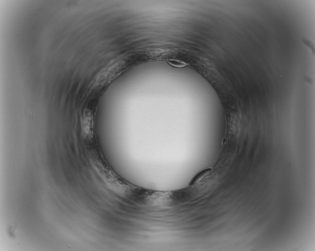 X0000100860138200807070943