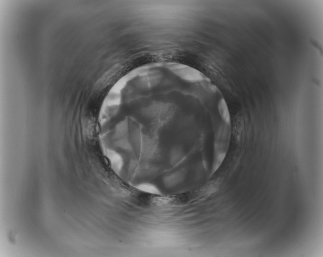 X0000100860139200807070943