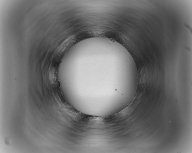 X0000100860140200807070943