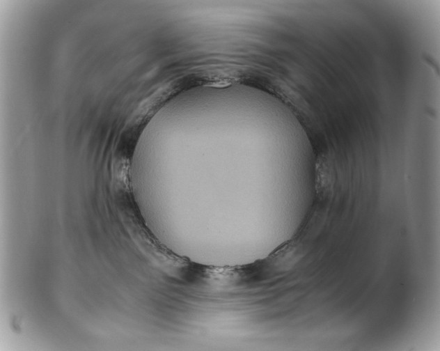 X0000100860141200807070943