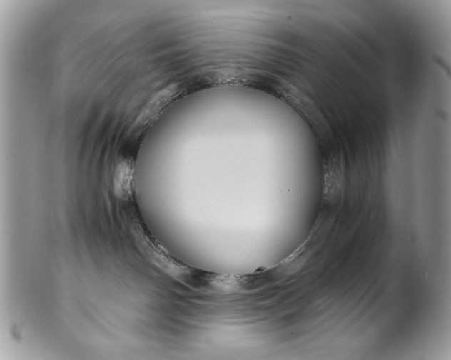 X0000100860142200807070943