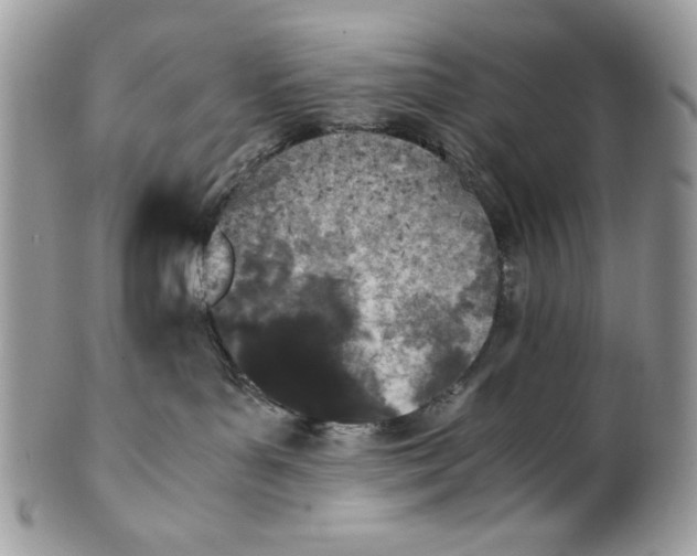 X0000100860143200807070943