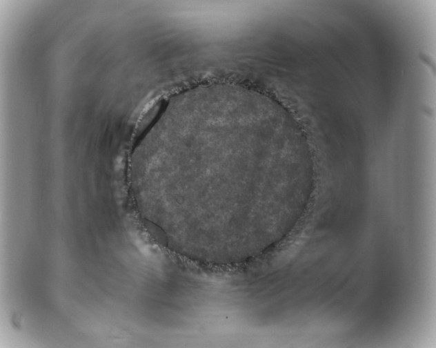 X0000100860144200807070943