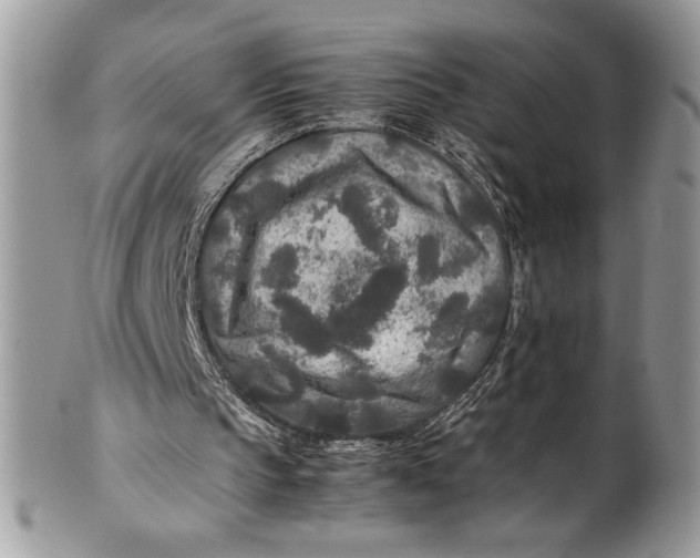 X0000100860145200807070942