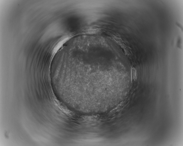 X0000100860147200807070942