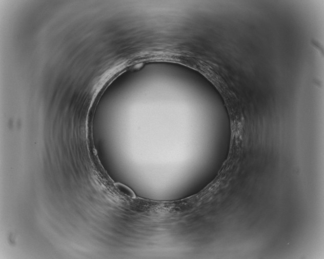 X0000100860148200807070942