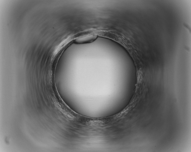 X0000100860150200807070942