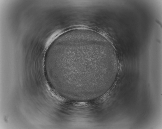 X0000100860151200807070942