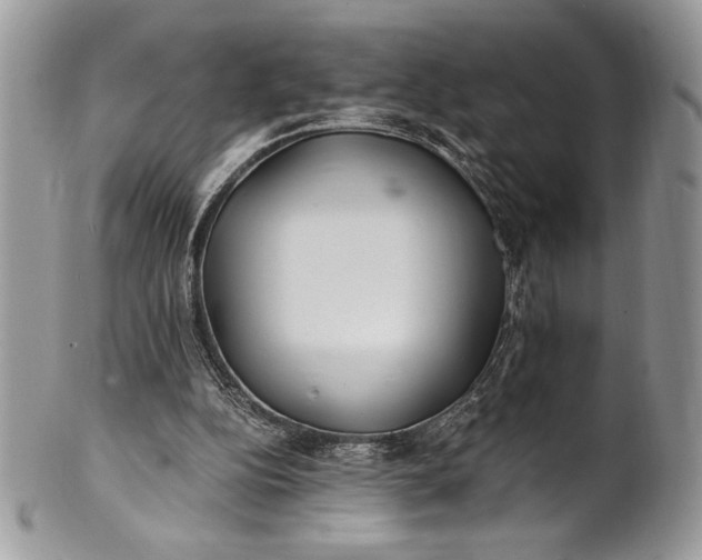 X0000100860152200807070942