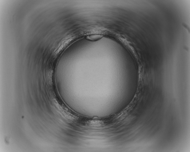 X0000100860154200807070942